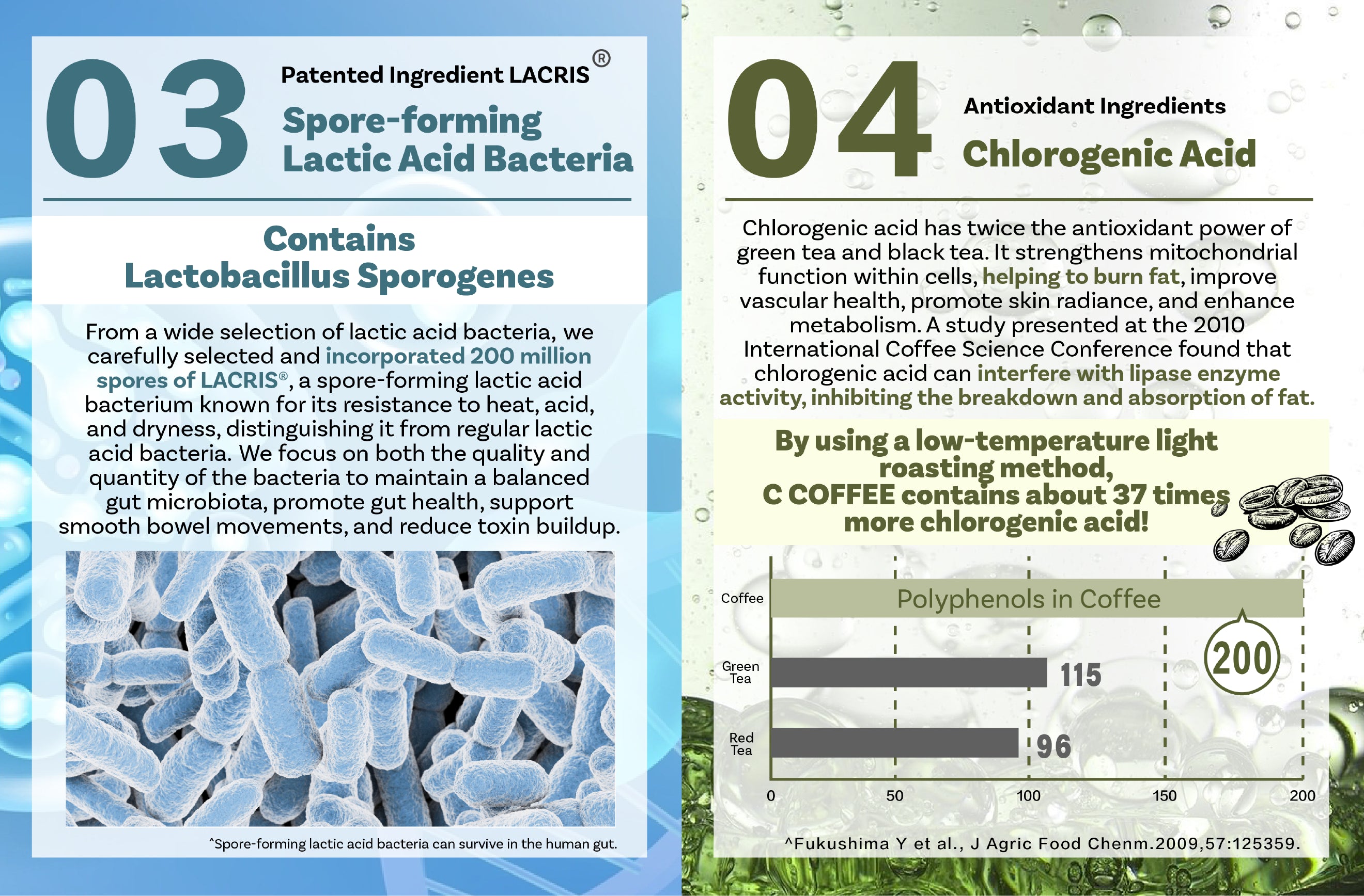 C COFFEE contains
lacris and chlorogenic acid