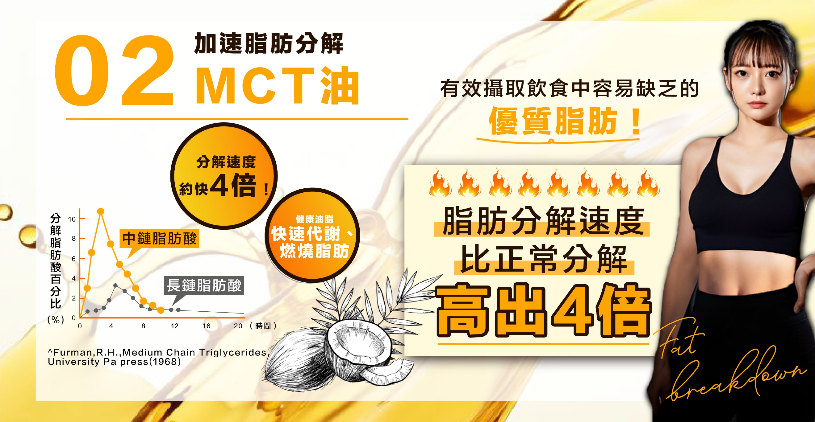 MCT油加速脂肪分解