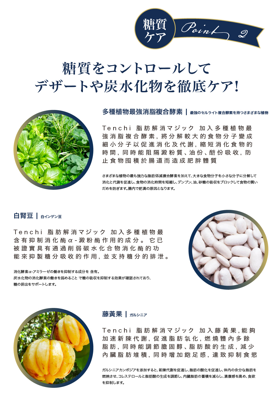 Tenchi 脂肪解消魔法丸成份11種最強分解力酵素、藤黃果、白腎豆