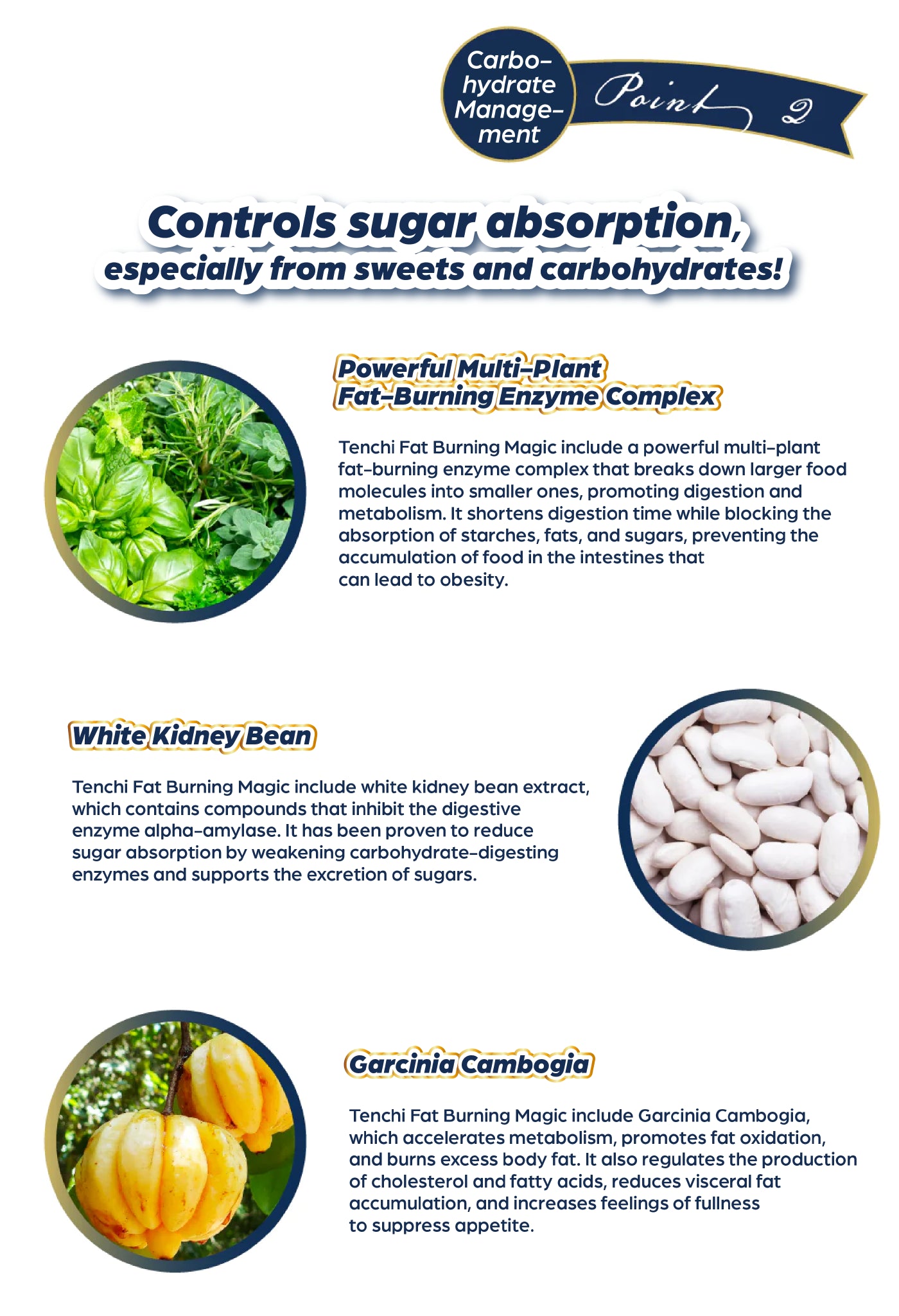 Carbohydrate management