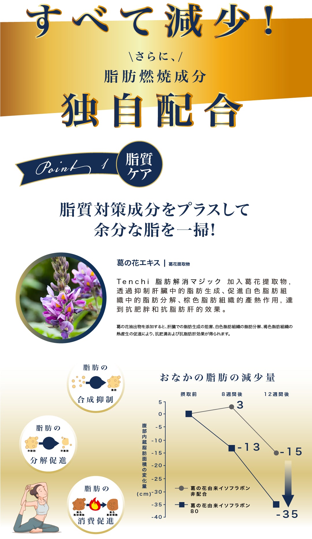Tenchi 脂肪解消魔法丸成份葛花提取物