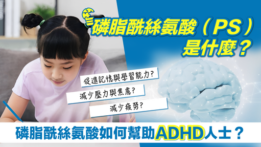 磷脂酰絲氨酸(PS)是什麼? 磷脂酰絲氨酸如何幫助ADHD人士?