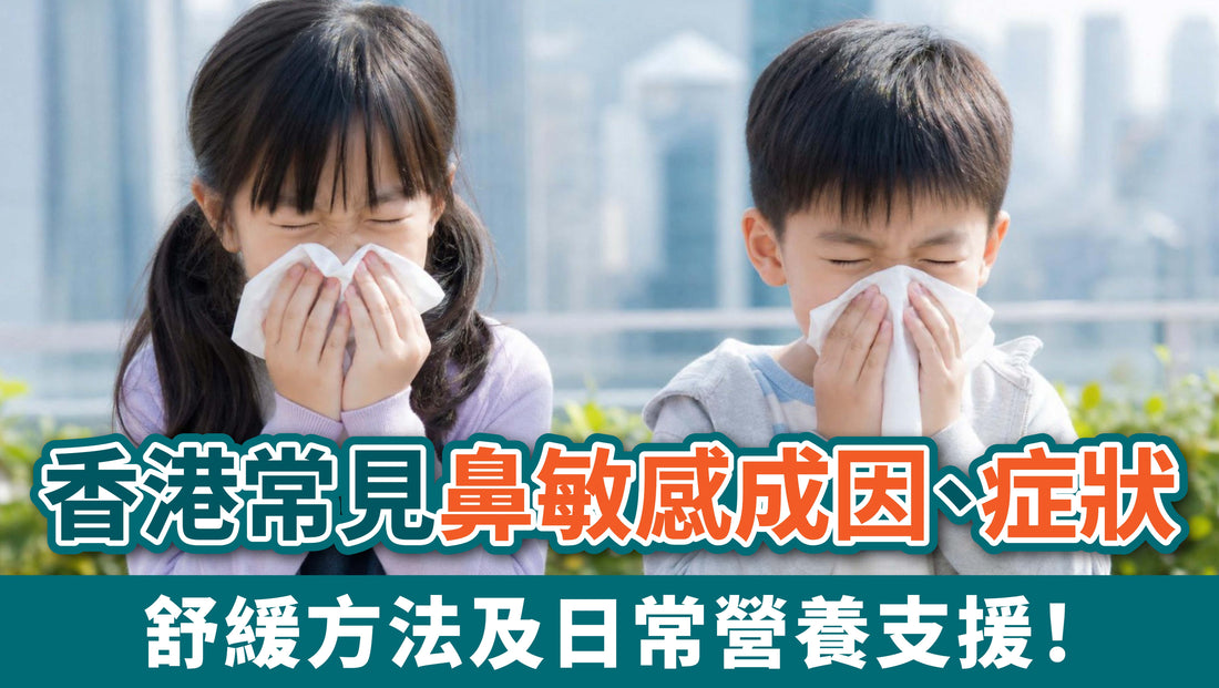 香港常見鼻敏感成因、症狀、舒緩方法及日常營養支援