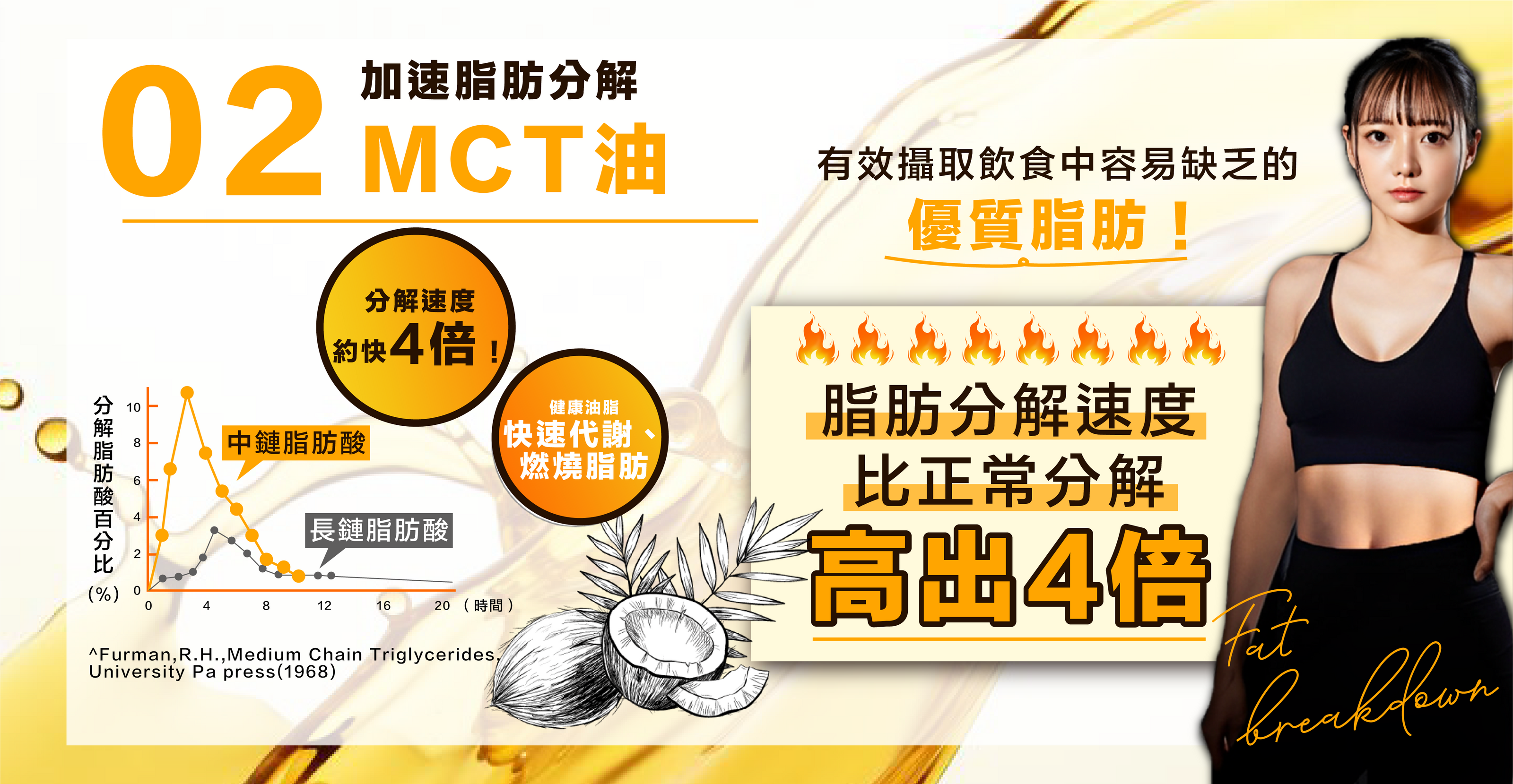 MCT油加速脂肪分解